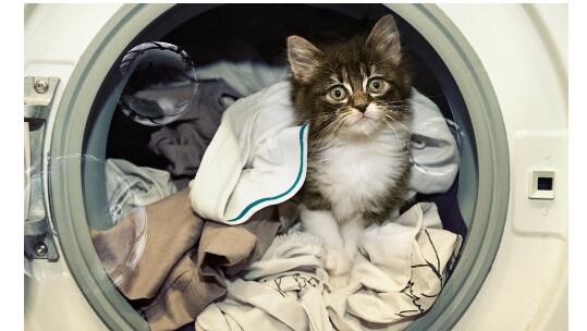 纯棉衣物怎么洗?纯棉织物的特点