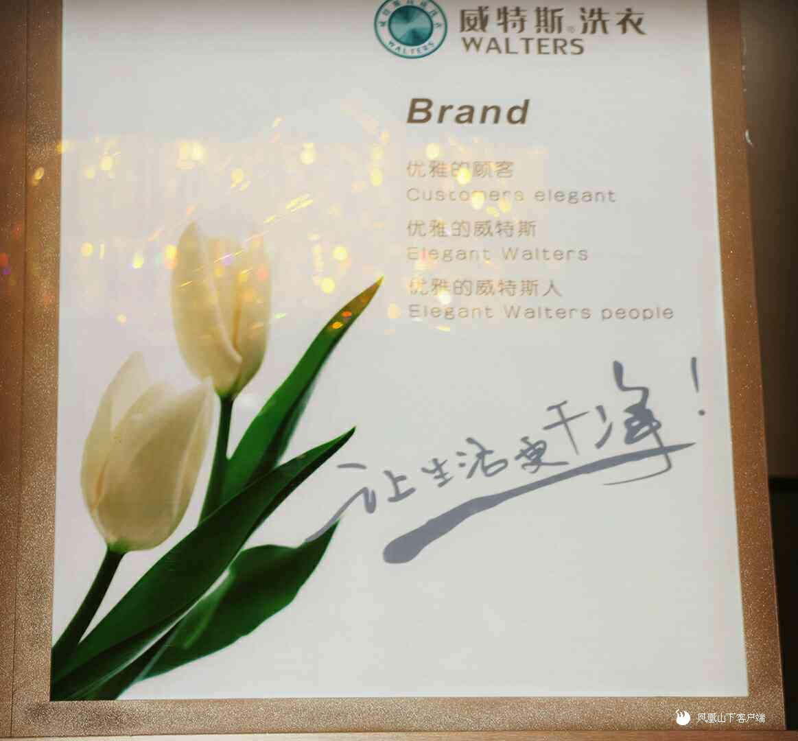 开一个洗衣店有多赚钱？看了就知道